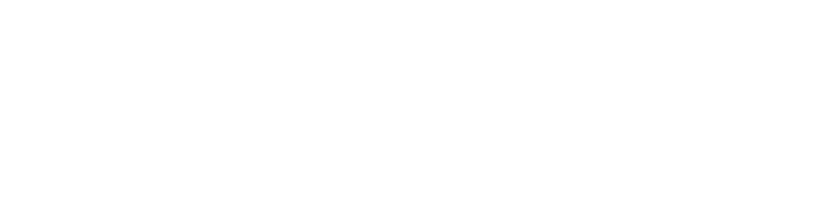 Capital Investment Advisors
